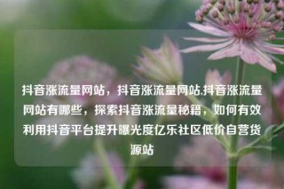 抖音涨流量网站，抖音涨流量网站,抖音涨流量网站有哪些，探索抖音涨流量秘籍，如何有效利用抖音平台提升曝光度亿乐社区低价自营货源站