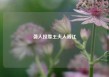 袭人投靠王夫人晋江