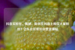 抖音买粉丝，揭秘，如何在抖音上购买大量粉丝？亿乐社区低价自营货源站