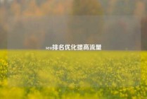 seo排名优化提高流量