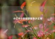 小红书小眼睛数据多少正常