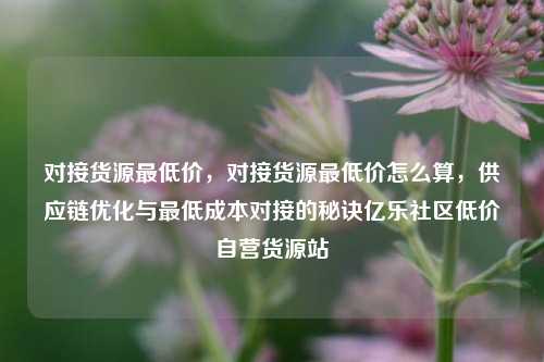 对接货源最低价，对接货源最低价怎么算，供应链优化与最低成本对接的秘诀亿乐社区低价自营货源站  第1张