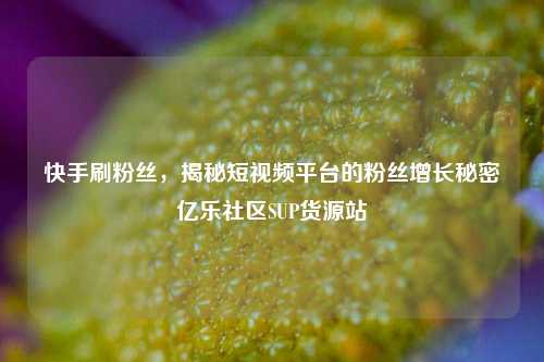 快手刷粉丝，揭秘短视频平台的粉丝增长秘密亿乐社区SUP货源站  第1张