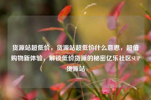 货源站超低价，货源站超低价什么意思，超值购物新体验，解锁低价货源的秘密亿乐社区SUP货源站  第1张