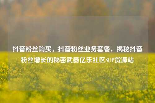 抖音粉丝购买，抖音粉丝业务套餐，揭秘抖音粉丝增长的秘密武器亿乐社区SUP货源站  第1张
