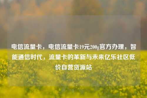 电信流量卡，电信流量卡19元200g官方办理，智能通信时代，流量卡的革新与未来亿乐社区低价自营货源站  第1张