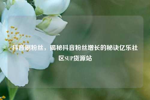 抖音刷粉丝，揭秘抖音粉丝增长的秘诀亿乐社区SUP货源站  第1张