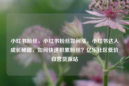 小红书粉丝，小红书粉丝如何涨，小红书达人成长秘籍，如何快速积累粉丝？亿乐社区低价自营货源站  第1张