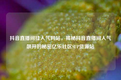 抖音直播间挂人气网站，揭秘抖音直播间人气飙升的秘密亿乐社区SUP货源站  第1张