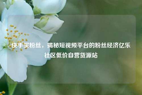 快手买粉丝，揭秘短视频平台的粉丝经济亿乐社区低价自营货源站  第1张