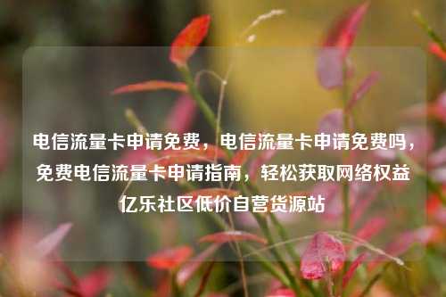 电信流量卡申请免费，电信流量卡申请免费吗，免费电信流量卡申请指南，轻松获取网络权益亿乐社区低价自营货源站  第1张
