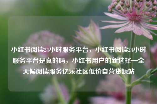 小红书阅读24小时服务平台，小红书阅读24小时服务平台是真的吗，小红书用户的新选择—全天候阅读服务亿乐社区低价自营货源站  第1张
