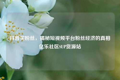 抖音买粉丝，揭秘短视频平台粉丝经济的真相亿乐社区SUP货源站  第1张