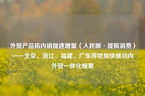 外贸产品拓内销提速增量（人民眼·提振消费）——北京、浙江、福建、广东等地加快推动内外贸一体化观察  第1张