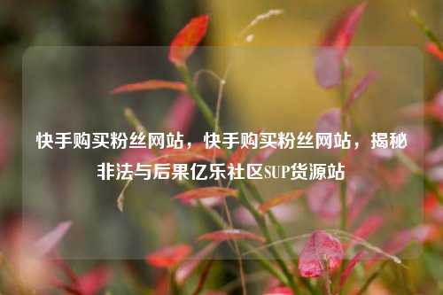 快手购买粉丝网站	，快手购买粉丝网站，揭秘非法与后果亿乐社区SUP货源站  第1张