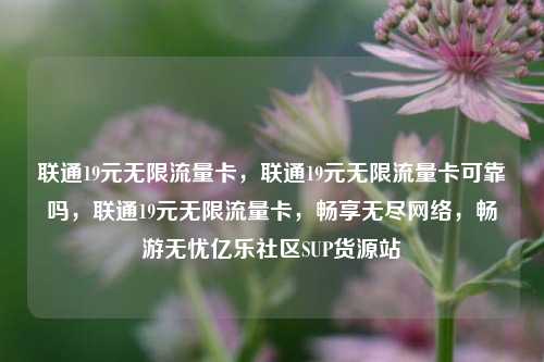 联通19元无限流量卡，联通19元无限流量卡可靠吗，联通19元无限流量卡	，畅享无尽网络，畅游无忧亿乐社区SUP货源站  第1张