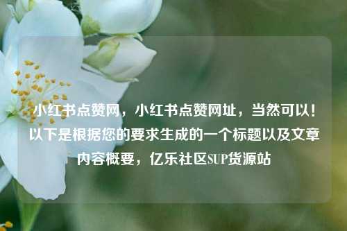 小红书点赞网，小红书点赞网址	，当然可以！以下是根据您的要求生成的一个标题以及文章内容概要，亿乐社区SUP货源站  第1张