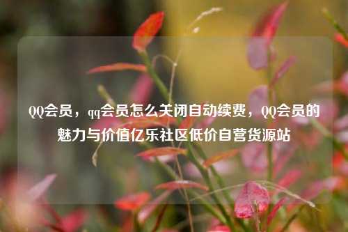 QQ会员，qq会员怎么关闭自动续费，QQ会员的魅力与价值亿乐社区低价自营货源站  第1张