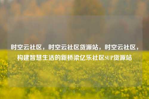 时空云社区，时空云社区货源站，时空云社区，构建智慧生活的新桥梁亿乐社区SUP货源站  第1张