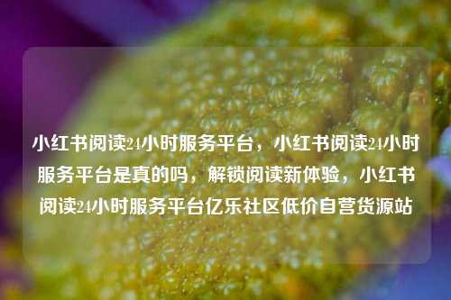 小红书阅读24小时服务平台	，小红书阅读24小时服务平台是真的吗，解锁阅读新体验，小红书阅读24小时服务平台亿乐社区低价自营货源站  第1张