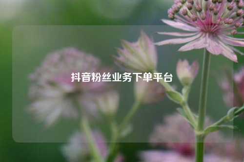 抖音粉丝业务下单平台  第1张