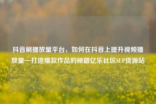 抖音刷播放量平台，如何在抖音上提升视频播放量—打造爆款作品的秘籍亿乐社区SUP货源站  第1张