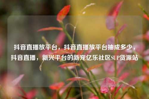 抖音直播放平台	，抖音直播放平台抽成多少，抖音直播，新兴平台的新宠亿乐社区SUP货源站  第1张