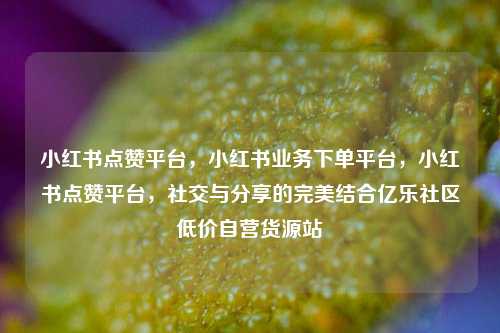 小红书点赞平台，小红书业务下单平台，小红书点赞平台	，社交与分享的完美结合亿乐社区低价自营货源站  第1张