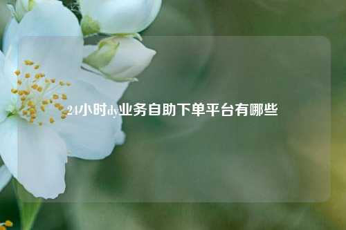 24小时dy业务自助下单平台有哪些  第1张
