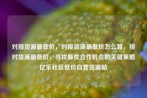 对接货源最低价，对接货源最低价怎么算	，接对货源最低价，寻找最优合作机会的关键策略亿乐社区低价自营货源站  第1张