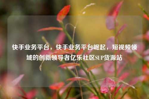 快手业务平台，快手业务平台崛起，短视频领域的创新领导者亿乐社区SUP货源站  第1张