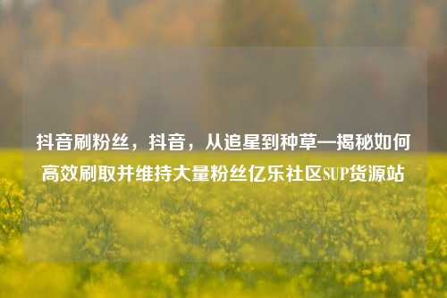 抖音刷粉丝	，抖音，从追星到种草—揭秘如何高效刷取并维持大量粉丝亿乐社区SUP货源站  第1张