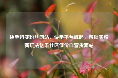 快手购买粉丝网站，快手平台崛起，解锁买粉新玩法亿乐社区低价自营货源站  第1张