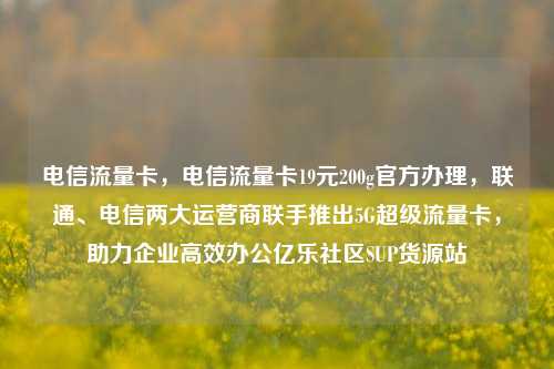 电信流量卡，电信流量卡19元200g官方办理	，联通、电信两大运营商联手推出5G超级流量卡，助力企业高效办公亿乐社区SUP货源站  第1张