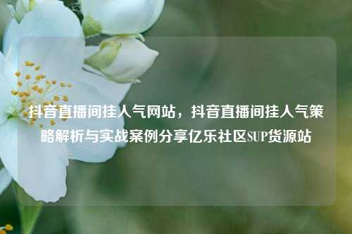 抖音直播间挂人气网站	，抖音直播间挂人气策略解析与实战案例分享亿乐社区SUP货源站  第1张