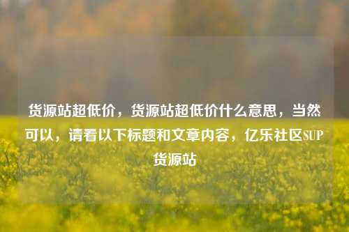 货源站超低价，货源站超低价什么意思，当然可以	，请看以下标题和文章内容，亿乐社区SUP货源站  第1张