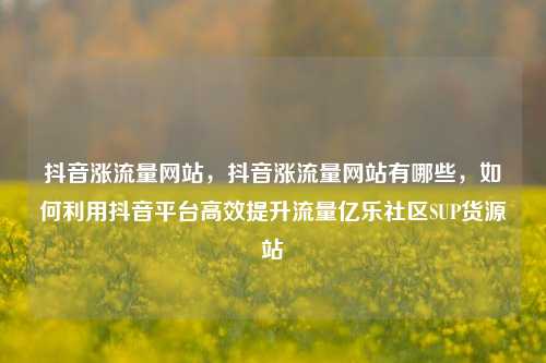 抖音涨流量网站	，抖音涨流量网站有哪些，如何利用抖音平台高效提升流量亿乐社区SUP货源站  第1张