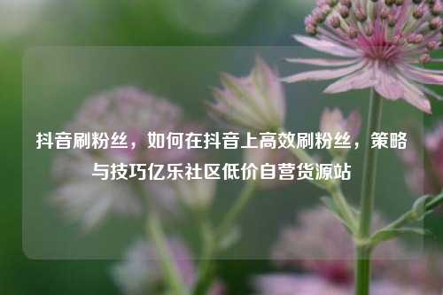 抖音刷粉丝	，如何在抖音上高效刷粉丝，策略与技巧亿乐社区低价自营货源站  第1张