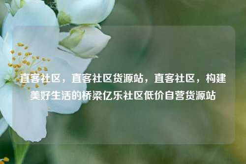 直客社区，直客社区货源站，直客社区	，构建美好生活的桥梁亿乐社区低价自营货源站  第1张