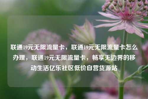 联通19元无限流量卡，联通19元无限流量卡怎么办理	，联通19元无限流量卡，畅享无边界的移动生活亿乐社区低价自营货源站  第1张