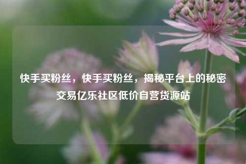 快手买粉丝，快手买粉丝，揭秘平台上的秘密交易亿乐社区低价自营货源站  第1张
