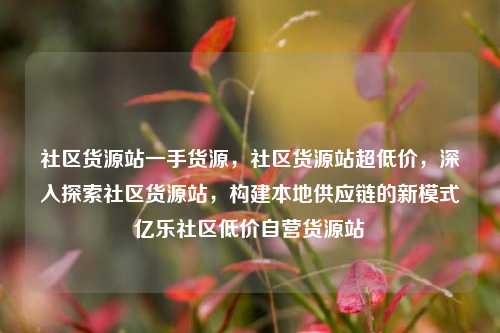社区货源站一手货源，社区货源站超低价	，深入探索社区货源站，构建本地供应链的新模式亿乐社区低价自营货源站  第1张