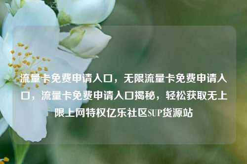 流量卡免费申请入口，无限流量卡免费申请入口，流量卡免费申请入口揭秘	，轻松获取无上限上网特权亿乐社区SUP货源站  第1张