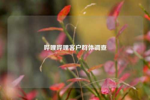 哔哩哔哩客户群体调查  第1张