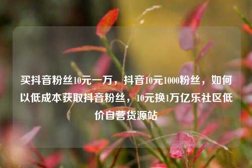 买抖音粉丝10元一万	，抖音10元1000粉丝，如何以低成本获取抖音粉丝，10元换1万亿乐社区低价自营货源站  第1张