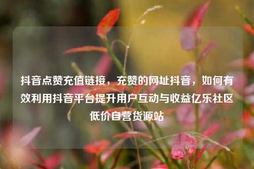 抖音点赞充值链接，充赞的网址抖音	，如何有效利用抖音平台提升用户互动与收益亿乐社区低价自营货源站  第1张
