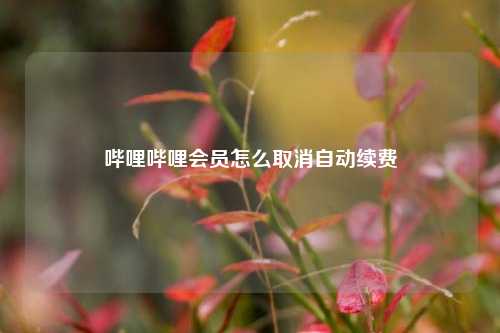 哔哩哔哩会员怎么取消自动续费  第1张