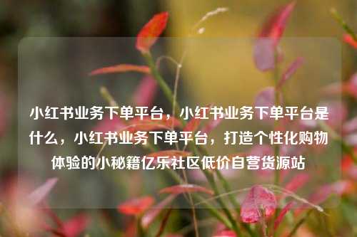 小红书业务下单平台，小红书业务下单平台是什么	，小红书业务下单平台，打造个性化购物体验的小秘籍亿乐社区低价自营货源站  第1张