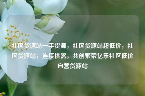 社区货源站一手货源，社区货源站超低价	，社区货源站，连接供需，共创繁荣亿乐社区低价自营货源站  第1张