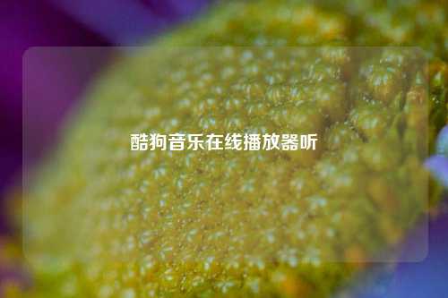 酷狗音乐在线播放器听  第1张